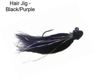 Hair Jig - Black/Purple