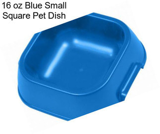 16 oz Blue Small Square Pet Dish