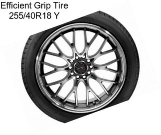 Efficient Grip Tire 255/40R18 Y