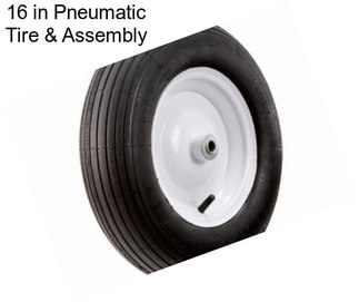 16 in Pneumatic Tire & Assembly