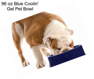 96 oz Blue Coolin\' Gel Pet Bowl