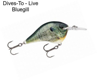 Dives-To - Live Bluegill