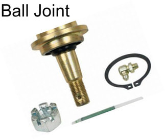 Ball Joint