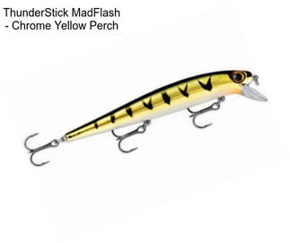 ThunderStick MadFlash - Chrome Yellow Perch