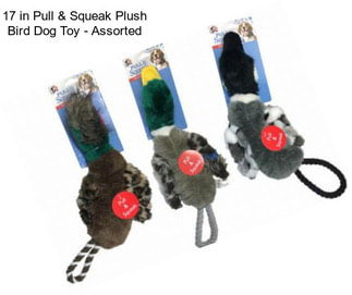 17 in Pull & Squeak Plush Bird Dog Toy - Assorted