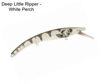 Deep Little Ripper - White Perch