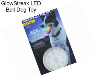 GlowStreak LED Ball Dog Toy