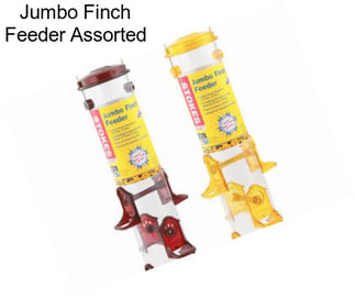 Jumbo Finch Feeder Assorted