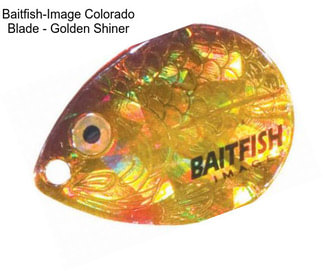 Baitfish-Image Colorado Blade - Golden Shiner