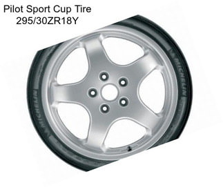 Pilot Sport Cup Tire 295/30ZR18Y