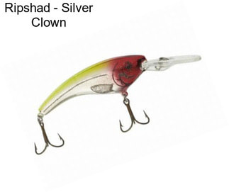 Ripshad - Silver Clown