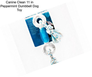 Canine Clean 11 in Peppermint Dumbbell Dog Toy