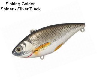 Sinking Golden Shiner - Silver/Black