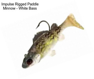 Impulse Rigged Paddle Minnow - White Bass