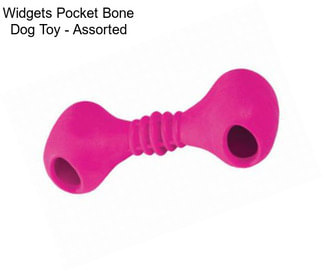 Widgets Pocket Bone Dog Toy - Assorted