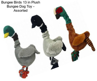 Bungee Birds 13 in Plush Bungee Dog Toy - Assorted
