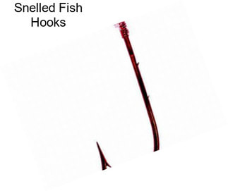 Snelled Fish Hooks