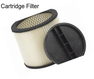 Cartridge Filter