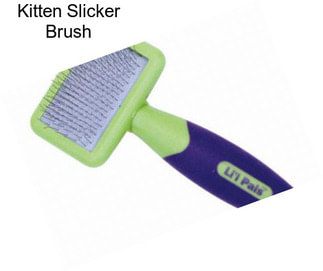 Kitten Slicker Brush