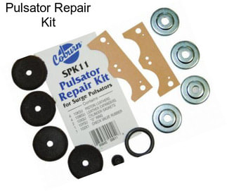 Pulsator Repair Kit
