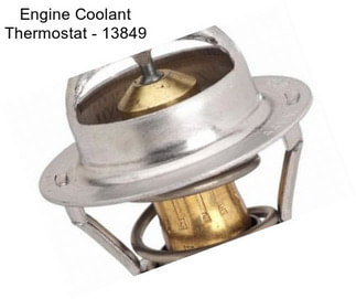 Engine Coolant Thermostat - 13849