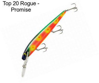 Top 20 Rogue - Promise