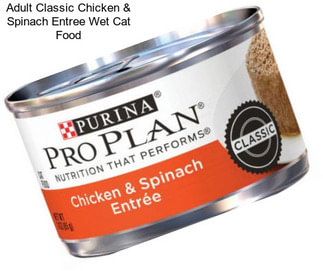 Adult Classic Chicken & Spinach Entree Wet Cat Food