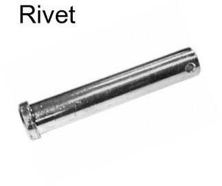 Rivet