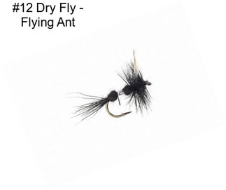 #12 Dry Fly - Flying Ant