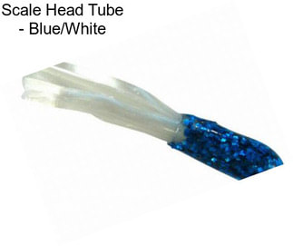 Scale Head Tube - Blue/White