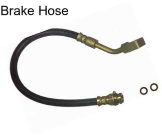 Brake Hose