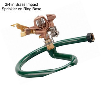 3/4 in Brass Impact Sprinkler on Ring Base