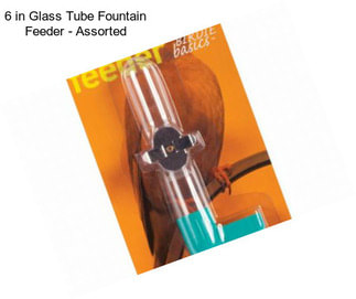 6 in Glass Tube Fountain Feeder - Assorted