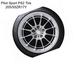 Pilot Sport PS2 Tire 205/55ZR17Y