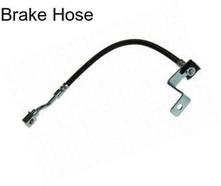 Brake Hose