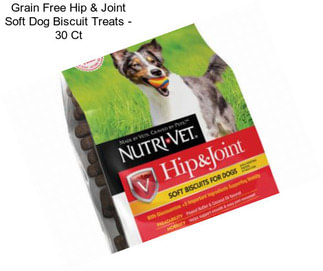 Grain Free Hip & Joint Soft Dog Biscuit Treats - 30 Ct