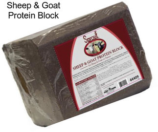 Sheep & Goat Protein Block