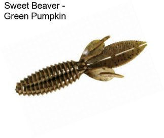 Sweet Beaver - Green Pumpkin