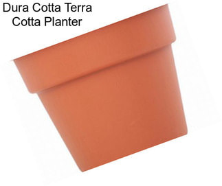 Dura Cotta Terra Cotta Planter