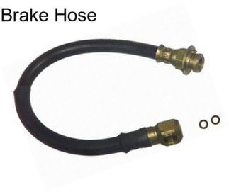 Brake Hose