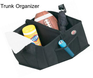 Trunk Organizer