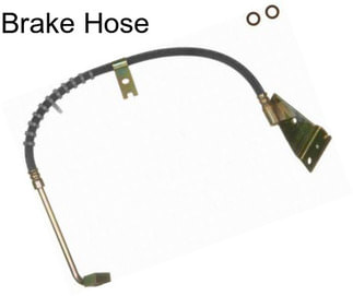 Brake Hose