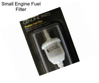 Small Engine Fuel Filter