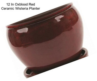 12 In Oxblood Red Ceramic Wisteria Planter