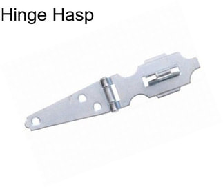 Hinge Hasp