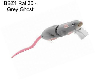 BBZ1 Rat 30 - Grey Ghost