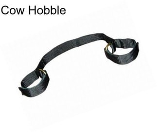 Cow Hobble