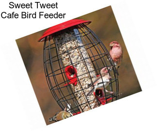 Sweet Tweet Cafe Bird Feeder