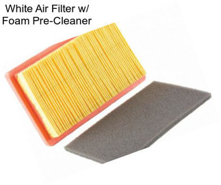 White Air Filter w/ Foam Pre-Cleaner