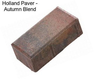 Holland Paver - Autumn Blend